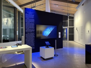 Detail of E8 polytope visualization