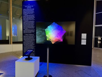 Projected E8 polytope detail