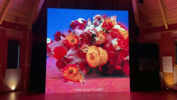 These Are Not Flowers